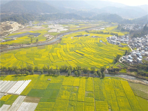 走进凤庆-凤庆县