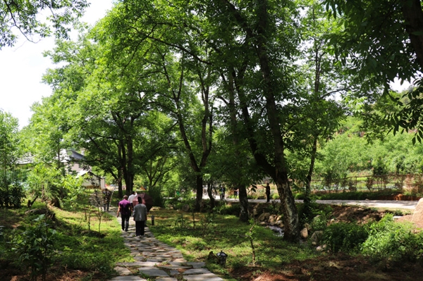 凤庆二道河风景区图片