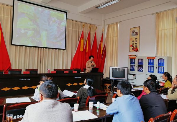 我县多部门集中开展实用技术培训 助力脱贫攻坚与乡村振兴的有效衔接