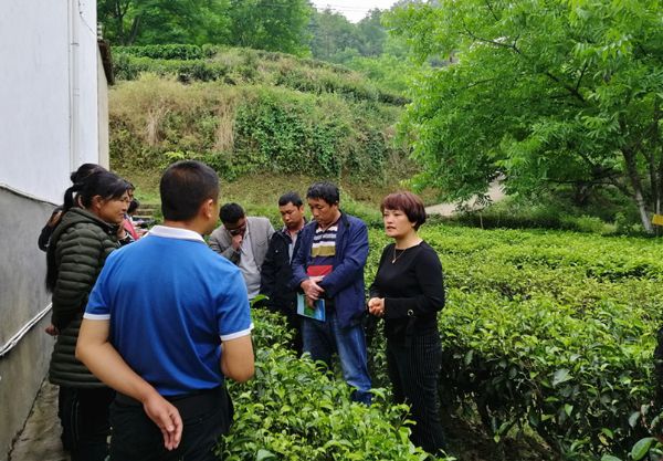 微信图片_20190508160313_副本