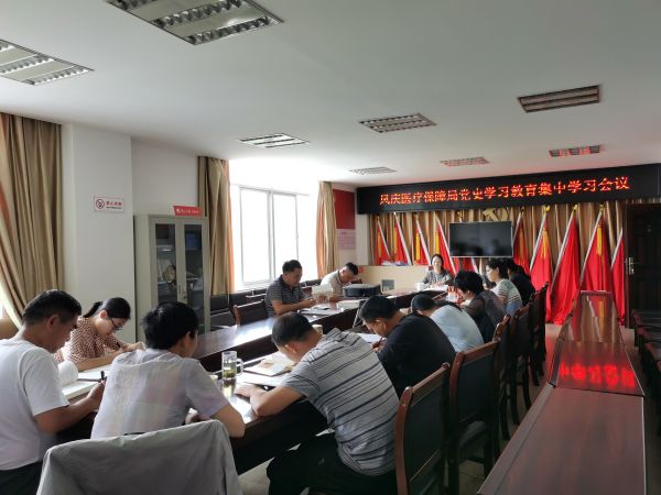 凤庆县医疗保障局党史学习教育集中学习会议
