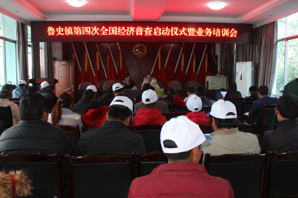 鲁史镇第四次经济普查启动仪式 (1)