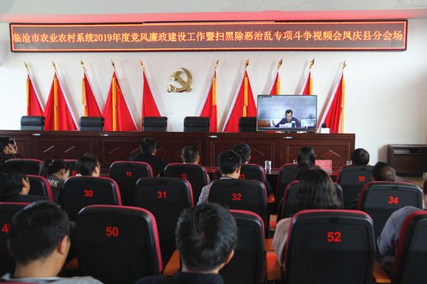 我县组织收看全市农业农村系统2019年度党风廉政建设暨扫黑除恶治乱专项斗争工作视频会议