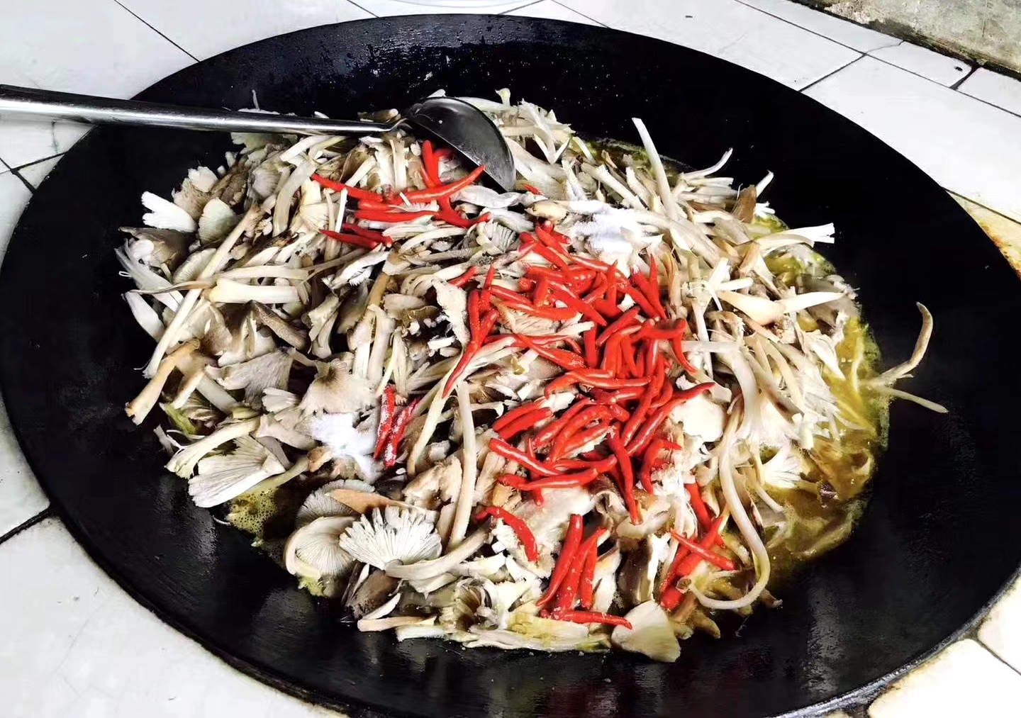 鸡枞3a.jpg