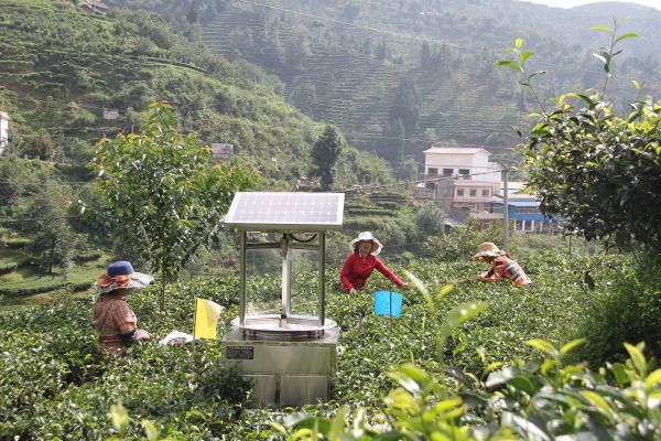 安石村退耕还林工程绩效良好
