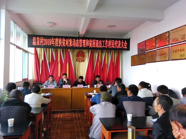 村民代表会议