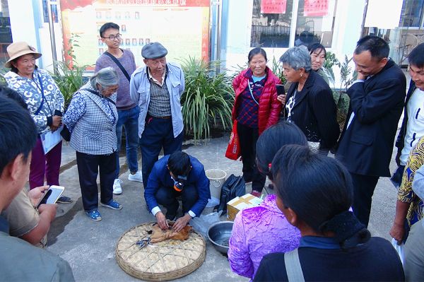 专家现场操作指导示范 (1)