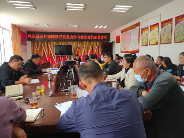 凤庆县医疗保障局开展党史学习教育动员部署会议