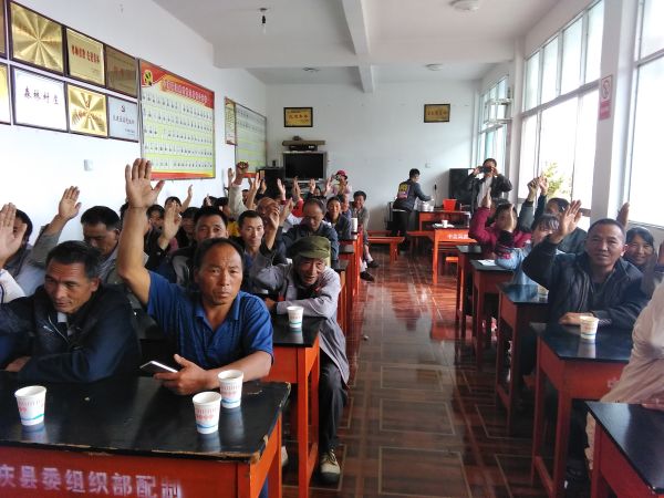 全体党员村民代表举手表决通过