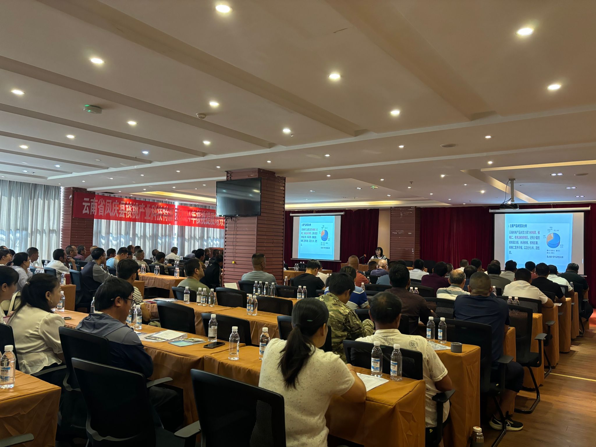 凤庆县核桃产业科技特派团2024年核桃提质增效技术培训班