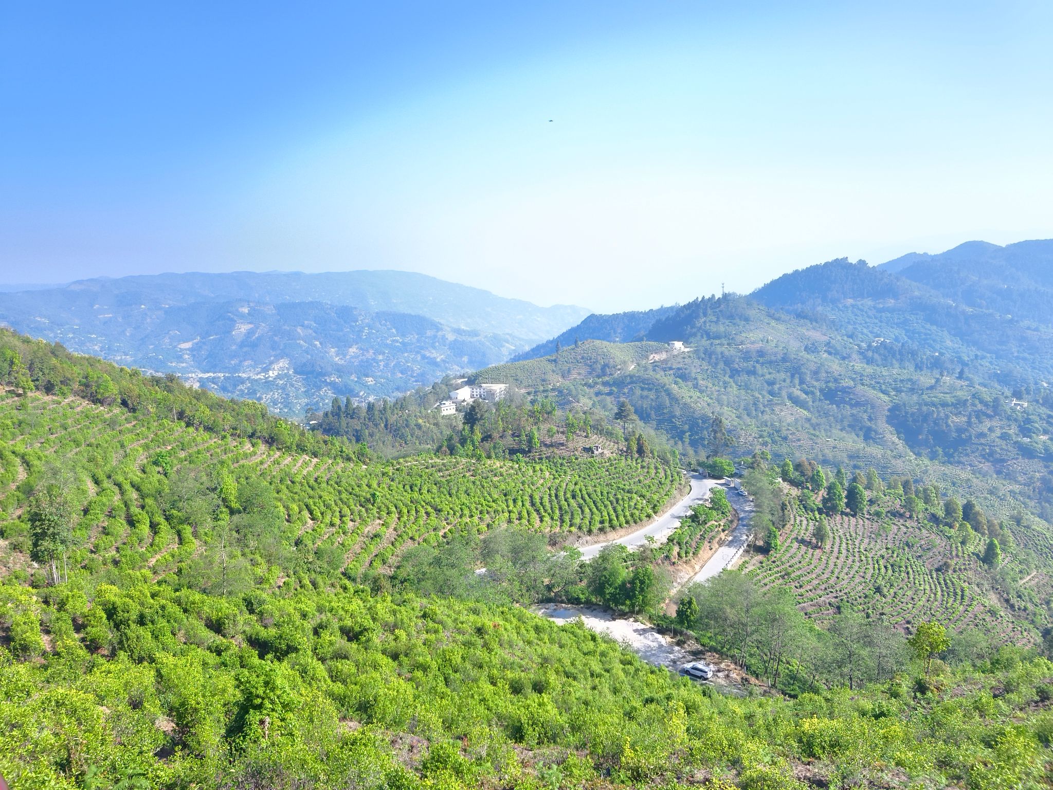 大寺乡：走进茶山 领略“四核”