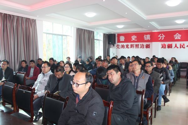 鲁史镇扫黑除恶治乱专项斗争工作会 (4)