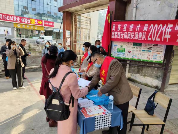 凤庆县统计局组织开展文明城市创建暨宪法宣传周统计法规宣传活动