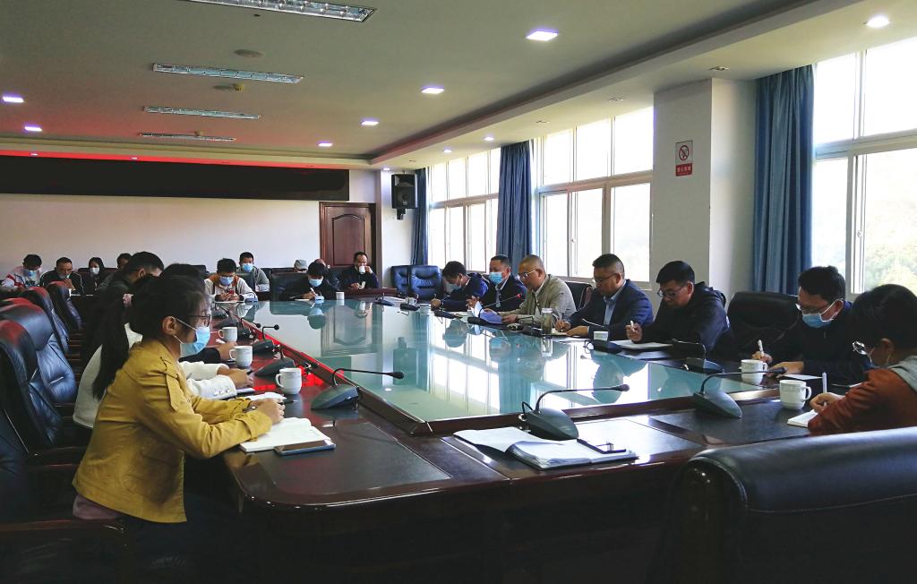县政府办公室党组召开专题会议传达学习党的二十大精神