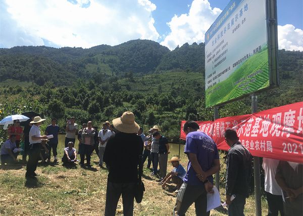 县农业农村局组织召开基层农技推广体系建设项目现场观摩培训会