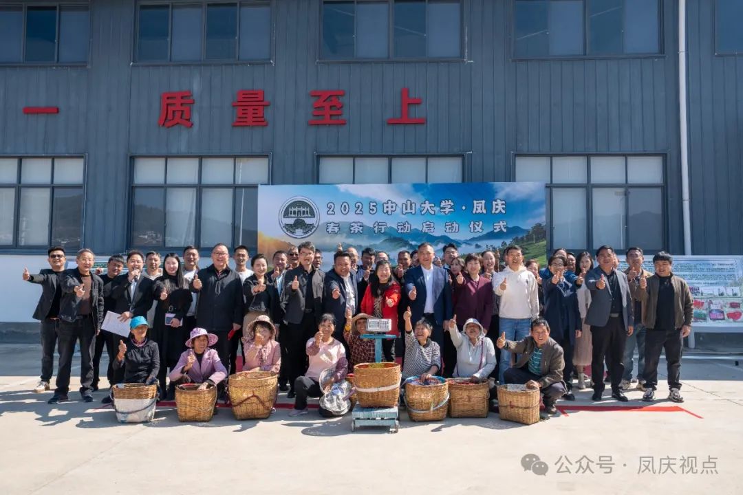 山海同心育新芽 茶香万里启新程：中山大学·凤庆2025春茶行动正式启动