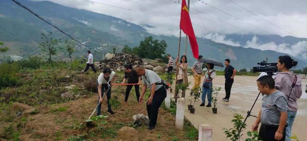 党员七一植树