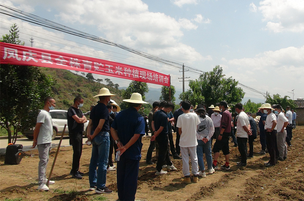 我县举办全株青贮玉米种植现场培训