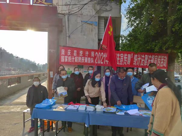 凤庆县统计局文明城市创建和暨宪法宣传周统计法规宣传活动