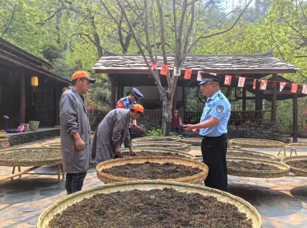 凤庆：“警察蓝”守护“茶乡绿”