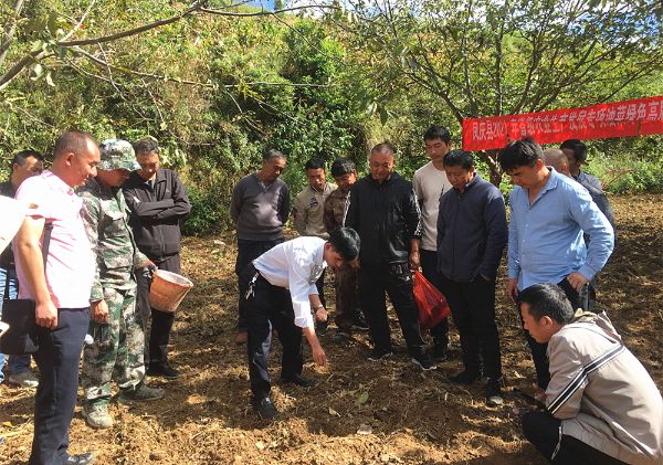 县农业农村局举办油菜高产栽培技术培训