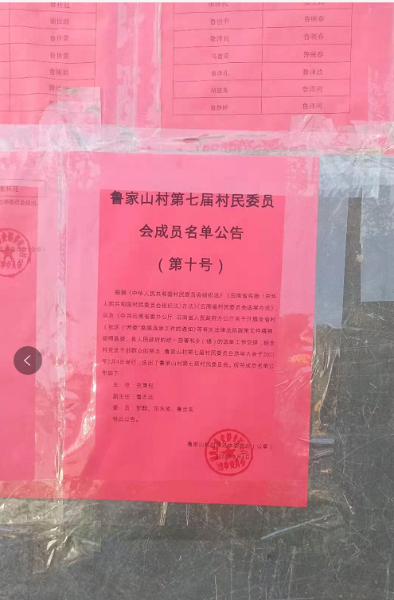 图片8
