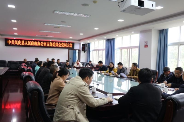 凤庆县人民政府办公室党支部召开2020年度组织生活会暨民主评议党员会议