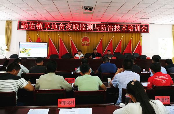 县植保站到勐佑镇开展草地贪夜蛾监测与防控技术培训会