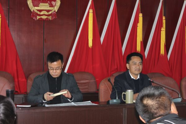 鲁史镇学习贯彻落实县委第十四届十二次全体（扩大）会议精神 (3)