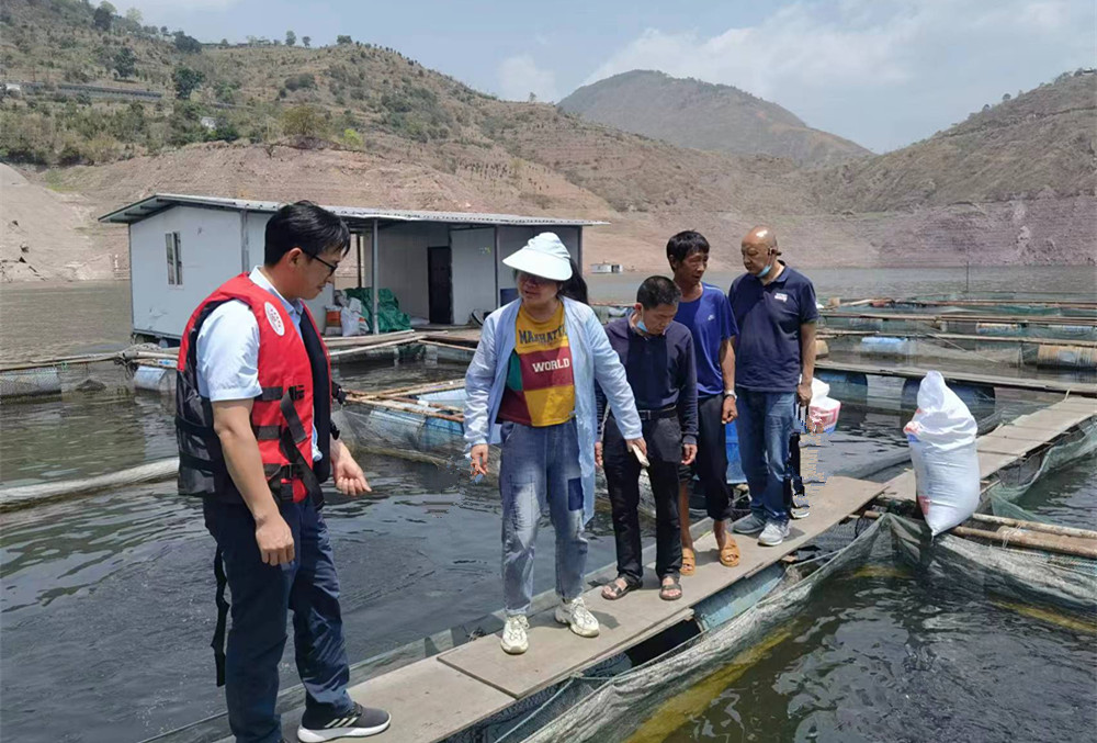 我县开展小湾库区网箱养殖污染综合整治专项行动