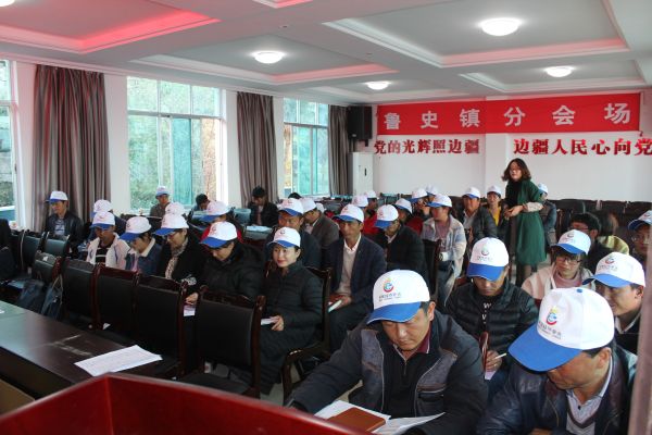 鲁史镇第四次经济普查启动仪式 (2)