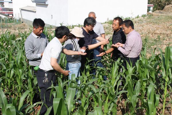 省抗旱工作组到我县督查抗旱工作及草地贪夜蛾防控工作