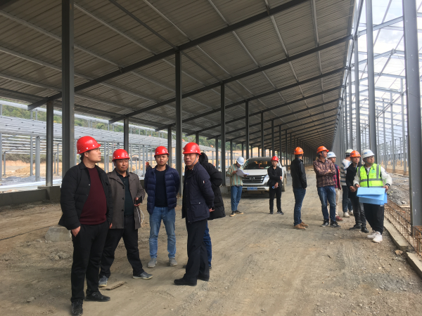 凤庆县加快营盘杨柳河肉牛养殖项目建设