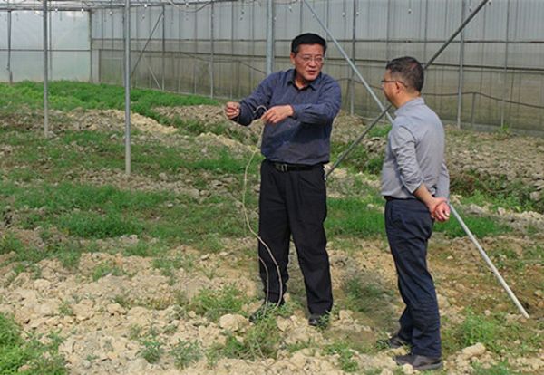 调研组走访勐佑镇宏云种植专业合作社中草药种植情况 (1)