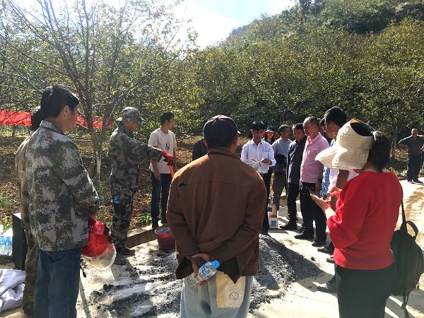 县农业农村局举办油菜高产栽培技术培训 (4)_副本
