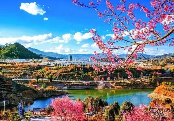 凤庆县：文明城市创建之花绚丽多彩