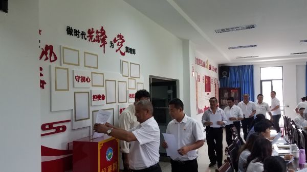 图六：投票选举新一届党支部委员会委员