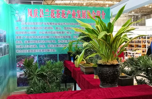 我县组织企业参加云南2019年文化产业博览会