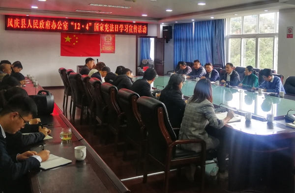 凤庆县人民政府办公室开展“12.4”国家宪法日学习宣传活动