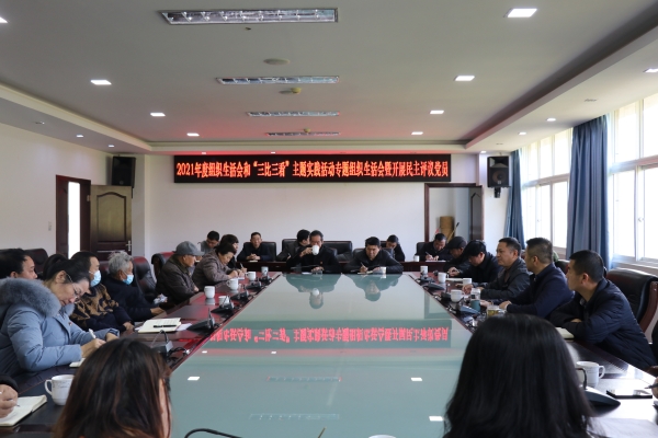 县政府机关党总支召开2021年度组织生活会和“三比三看”主题实践活动专题组织生活会