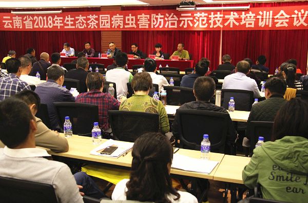 全省生态茶园病虫害防治示范技术培训在凤庆举行