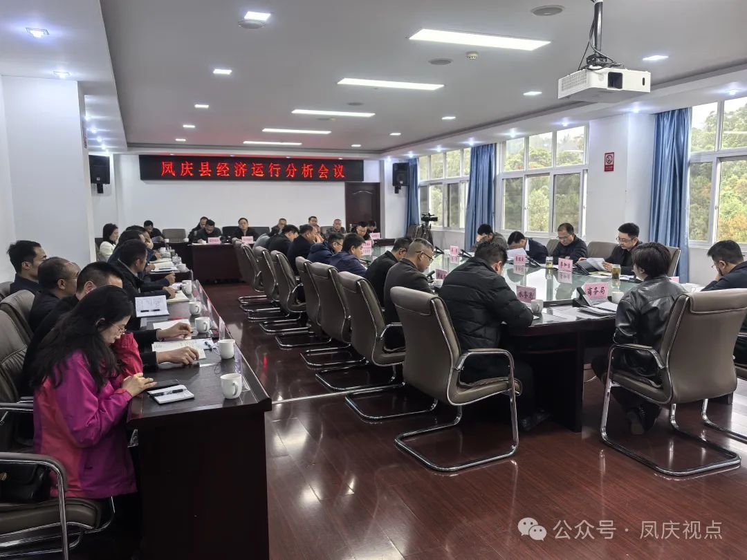 县人民政府召开经济运行分析会议强调：要聚焦重点、加压奋进，全力以赴实现一季度“开门红、开门稳”