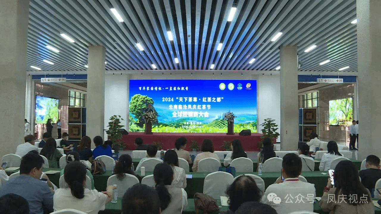 【2024 凤庆红茶节】一杯红茶香四方——全国经销商代表共话凤庆滇红茶