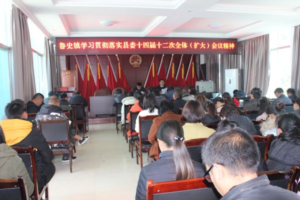 鲁史镇学习贯彻落实县委第十四届十二次全体（扩大）会议精神 (4)
