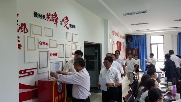 图五：投票选举新一届党支部委员会委员