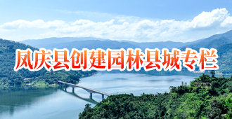 凤庆县创建园林县城专栏